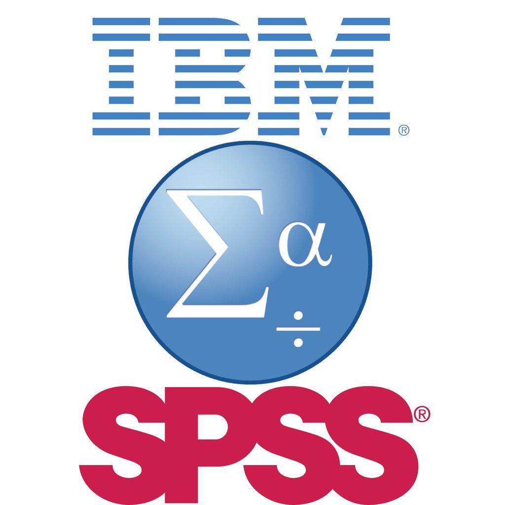 SPSS data analysis support